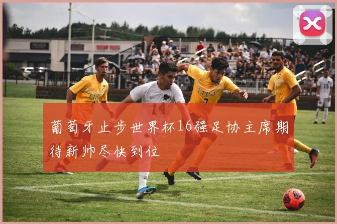 葡萄牙止步世界杯16强足协主席期待新帅尽快到位